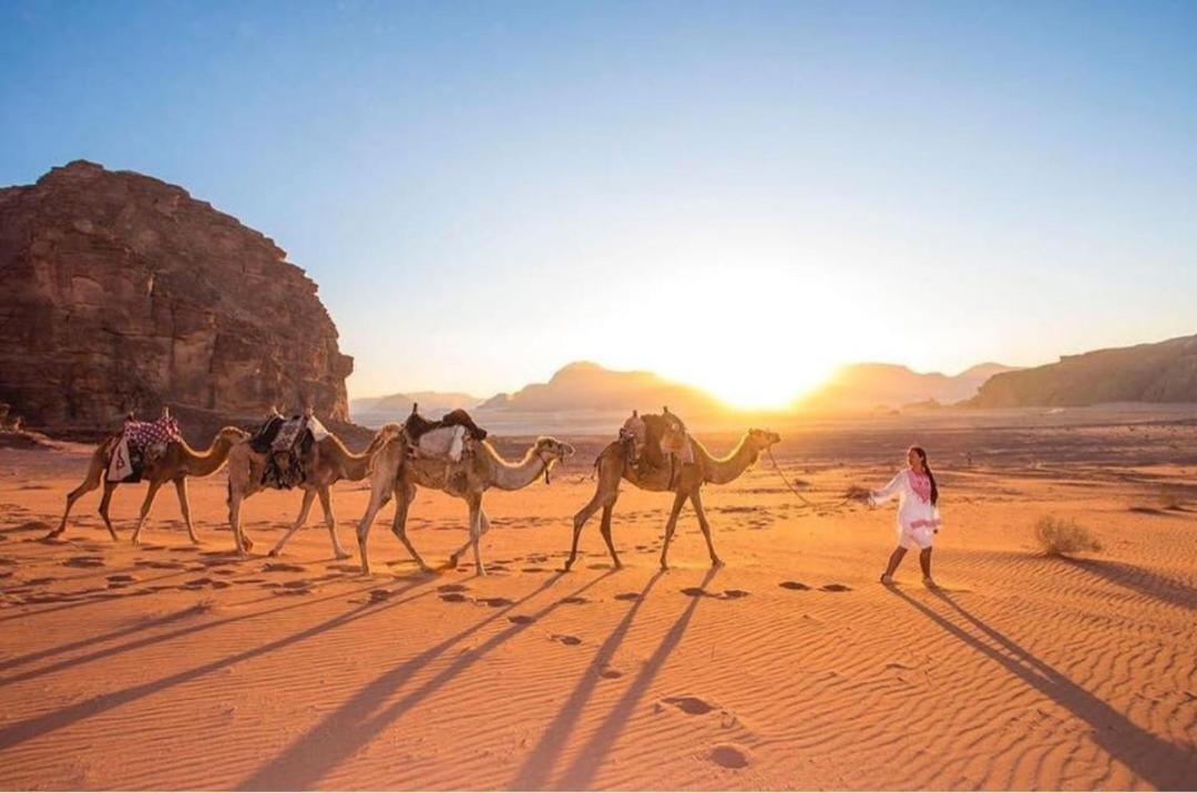 Discover The Life Of Wadi Rum Exterior photo
